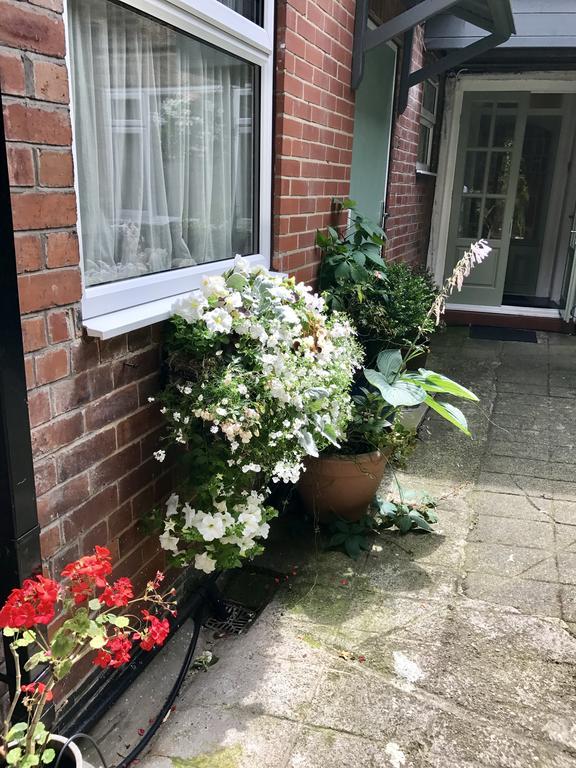 Dairy Guest House York Exteriör bild